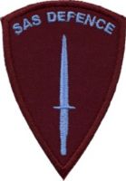 Defence Badge